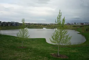 Enjoy staying in Calgary, Livingston community - Image 5