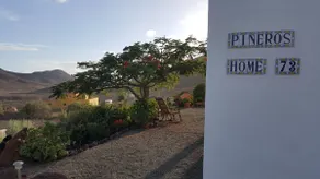 Piñero's Home - Image 2