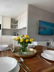 Luxury Flat in Brno - Image 5