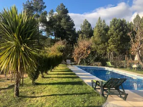 Quinta da Fervença, private river place to relax.. - Image 3