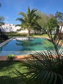 Beautiful residence with garden pool in Cholul - Image 5