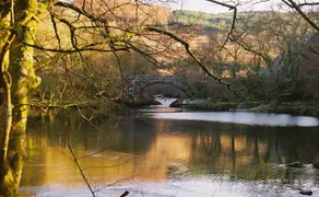 Coed y Celyn Hall Apt1. Betws y Coed Snowdonia - Image 4