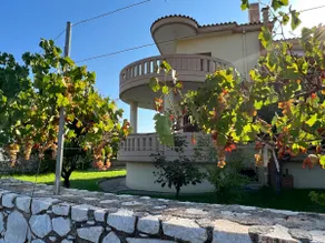 Clementine Villa - Image 2