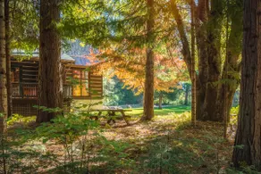Deerhaven Mountain Hideaway ~ In Mount Shasta - Image 2