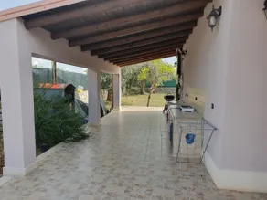 The Three Flowers of Floriana - Image 3