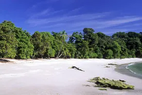 Beachfront Manuel Antonio Beach Pool 2 bedroom - Image 3
