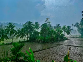 Olu Villa, Galle - Tropical Village Life - Image 4