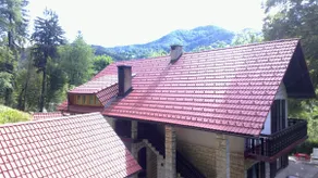 Beautiful Nature 25 meters from the river Sava - Image 2