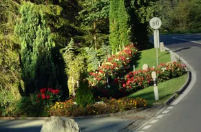 Grindelwald Burglauenen Interlaken - Image 2