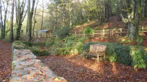 Quiet, Countryside Retreat, Spreacombe Gardens near Woolacombe - Image 5