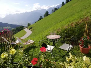 Panoramic apartment with fireplace in the Tyrolean mountains - Image 5