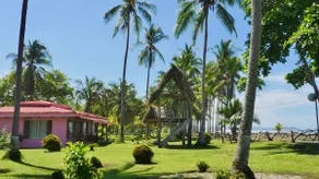 Playa Nido Rosa - Beachfront + Pool + Private Palapa - Image 2