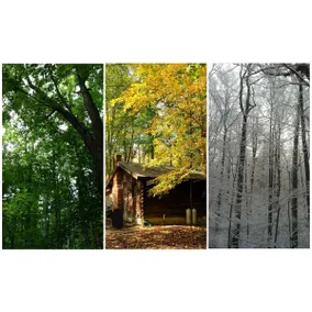 Hillside Hideaway #countryconvenience - Image 4
