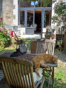 Guitoune's Stable - Image 2