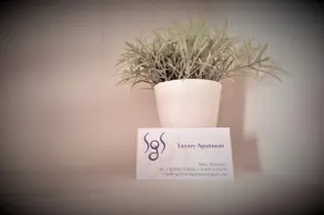 SgS Luxury Apartments - Image 2