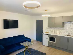 Spacious Luxury Studio (AR5) - Image 4