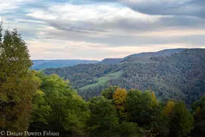 Ranch Home w/ Rolling Hill Views & Hot Tub - Image 5