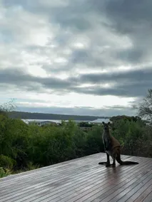 Island Beach - The sunshine Cabin - Image 2