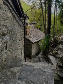 Rustico Leoro - Image 2