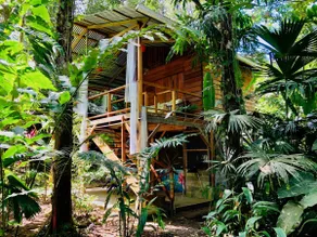 Tranquila - Jungle Cabin for Nature Retreat - Image 4