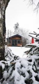 Very cozy eco-friendly cottage in the heart of nature - Image 2