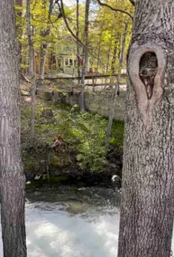 Fernbrae Retreat at Chaffey’s Lock - Image 5