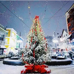 Beautiful! Directly on Federal Hill Plaza, Prov! - Image 3