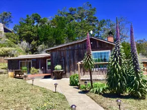 Secluded Oceanfront Beach Cottage and Private Cove - Image 4