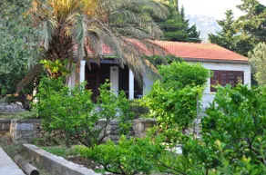 Prime location, 50 m from the beach - Image 2