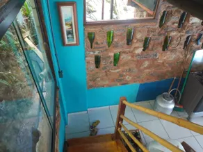 Casa dos astros - Image 4