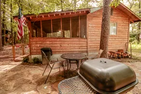 Lazy Squirrel Cabin, Hot Tub, Fishing, Fire Pit - Image 2