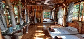 My Nest - Image 5