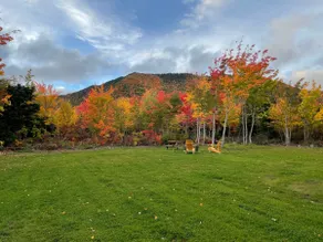 Whiskey Mountain Cottage - Image 3