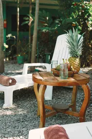 Palm Tree Paradise in the heart of Santa Teresa - Image 3
