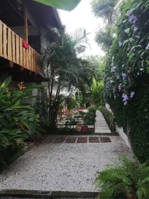 Cale Casitas / Swell Apt. Excellent location. - Image 5