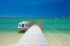 NOW ON SALE Small pets allowed! - Ocean view! 2-story house for rent! - Image 3