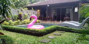 Dedik House - Image 2