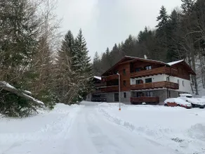 Lucnica apartments - mountain style ski&golf apts. - Image 2