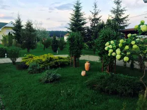 Dia’s Place - Image 2