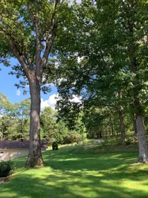 ~ Meadow View ~ - Image 4