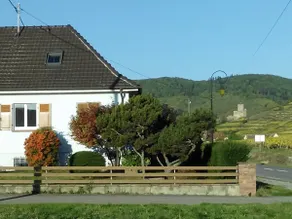 Gite du WEINBAECHLE - Image 2