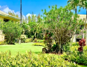 Spacious Kauai 1b/2b condo, pool, 2mi from airport - Image 2