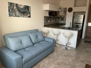 Beautiful New Apartment! 2 Blocks from THE OCEAN! - Image 4