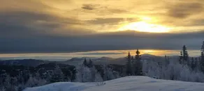 Remote mountain cabin hideaway - Image 3