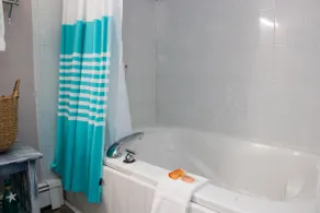 Luxury Suite with Jacuzzi & Fireplace - Image 2