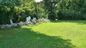 Bee Tree Hive - Image 5
