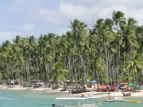 Carneiros Beach Brazil - Image 5