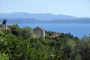 #New apartment#Special view#Vege food - Image 3