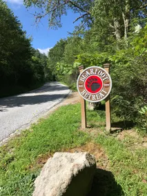 Pet Friendly Streamside Cabin near Cashiers NC - Image 2