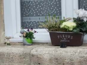 LE PIC'ARDIE - Image 3